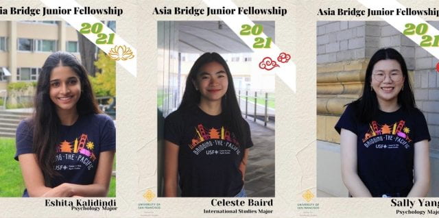 Asia Bridge Junior Fellows