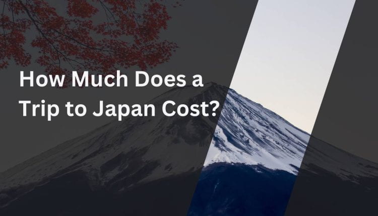 How Much Does a Trip to Japan Cost