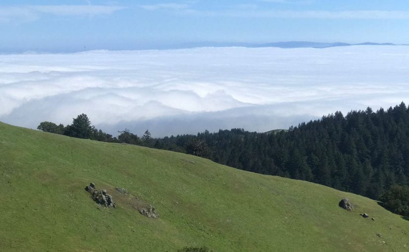 Mt. Tamalpais – from the top to the middle.