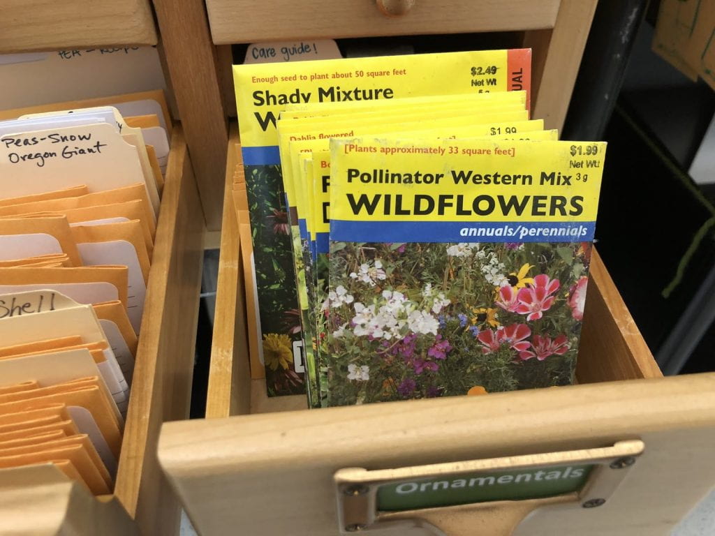 Wildflower seed packets in the USF seed library