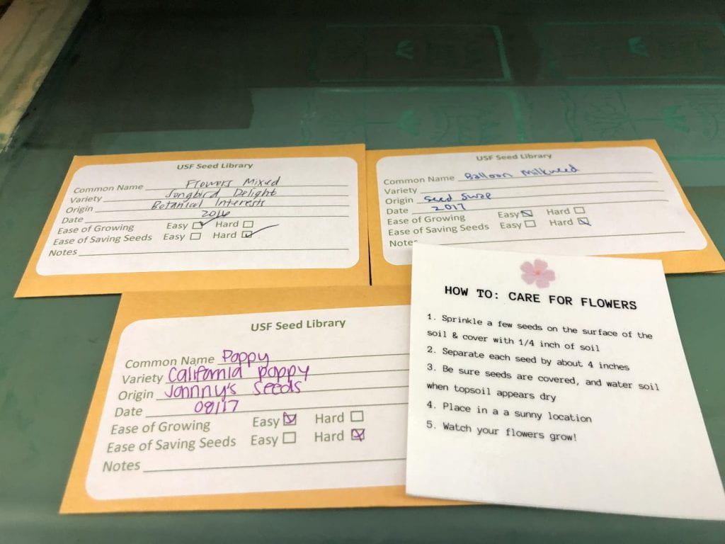 student created USF seed packets with how to care cards