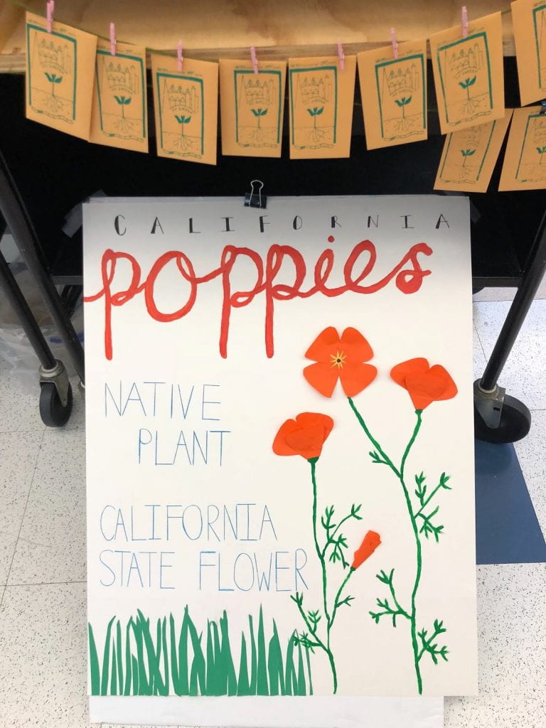 sign of California Poppies, a native plant and state flower