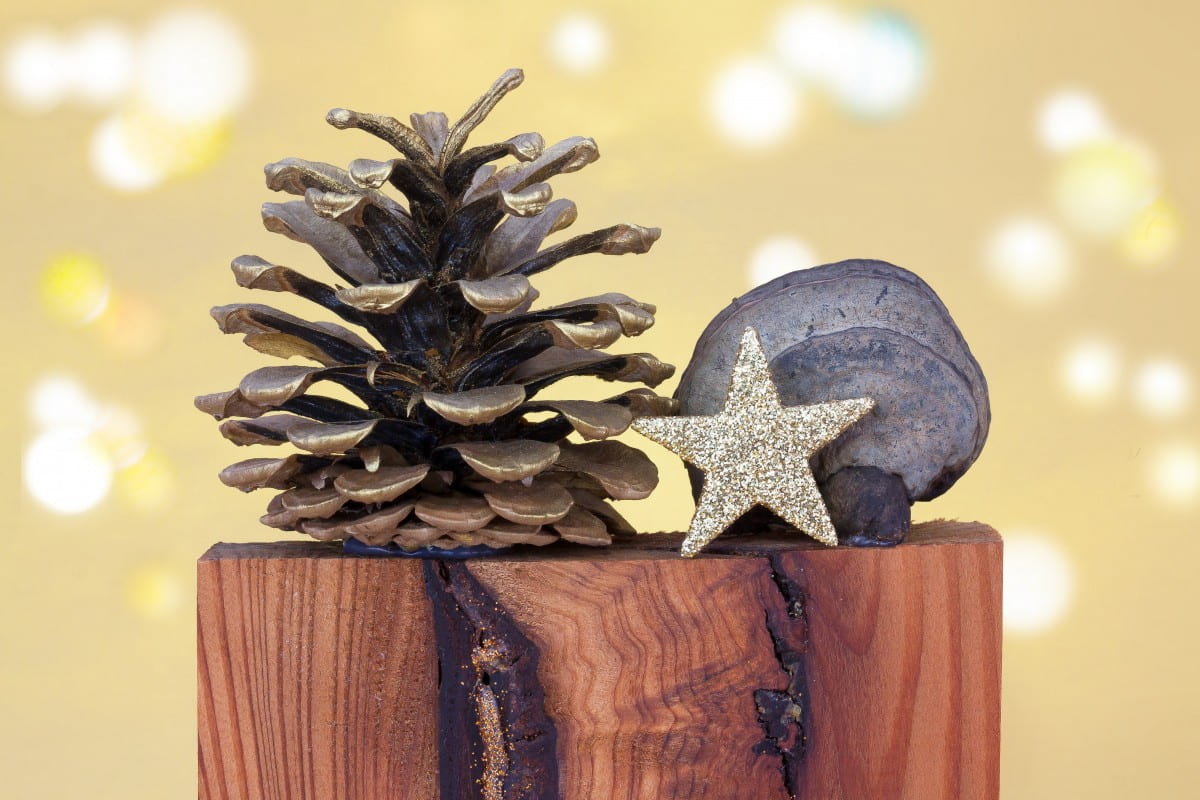 Gold leafed pine cone next to gold glitter star and rock on top of block of wood