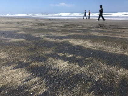 Image of 3 people walking along a beach