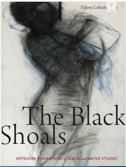 Cover for The Black Shoals: Offshore Formations of Black and Native Studies by Tiffany Lethabo King