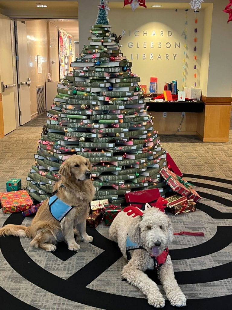 two SPCA dogs sitting by Christmas tree