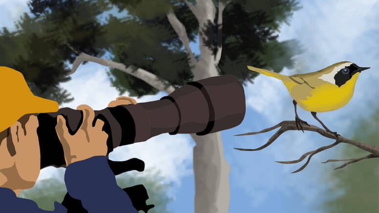 Illustration of a birdwatcher
