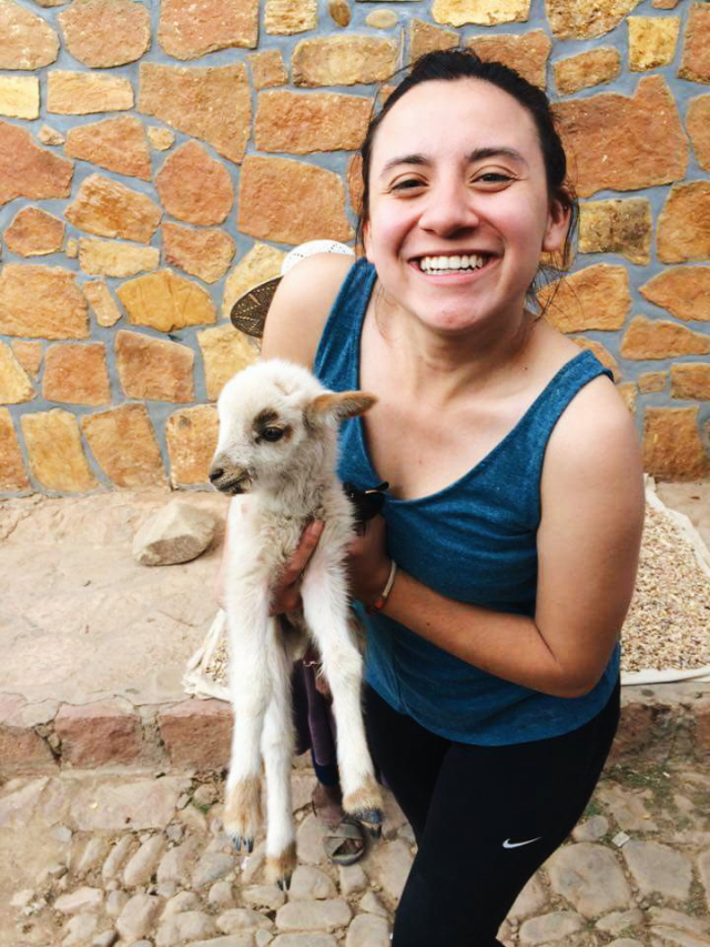 girl with llama