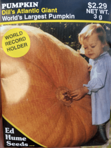 a packet of pumpkin seeds featuring a young girl hugging a pumpkin that is basically the same size as she is