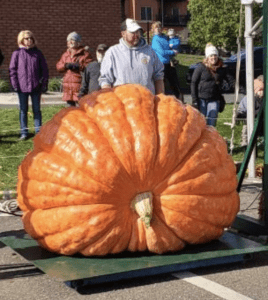 a large man in a baseball cap stands behind a giant pumkin sitting on its side