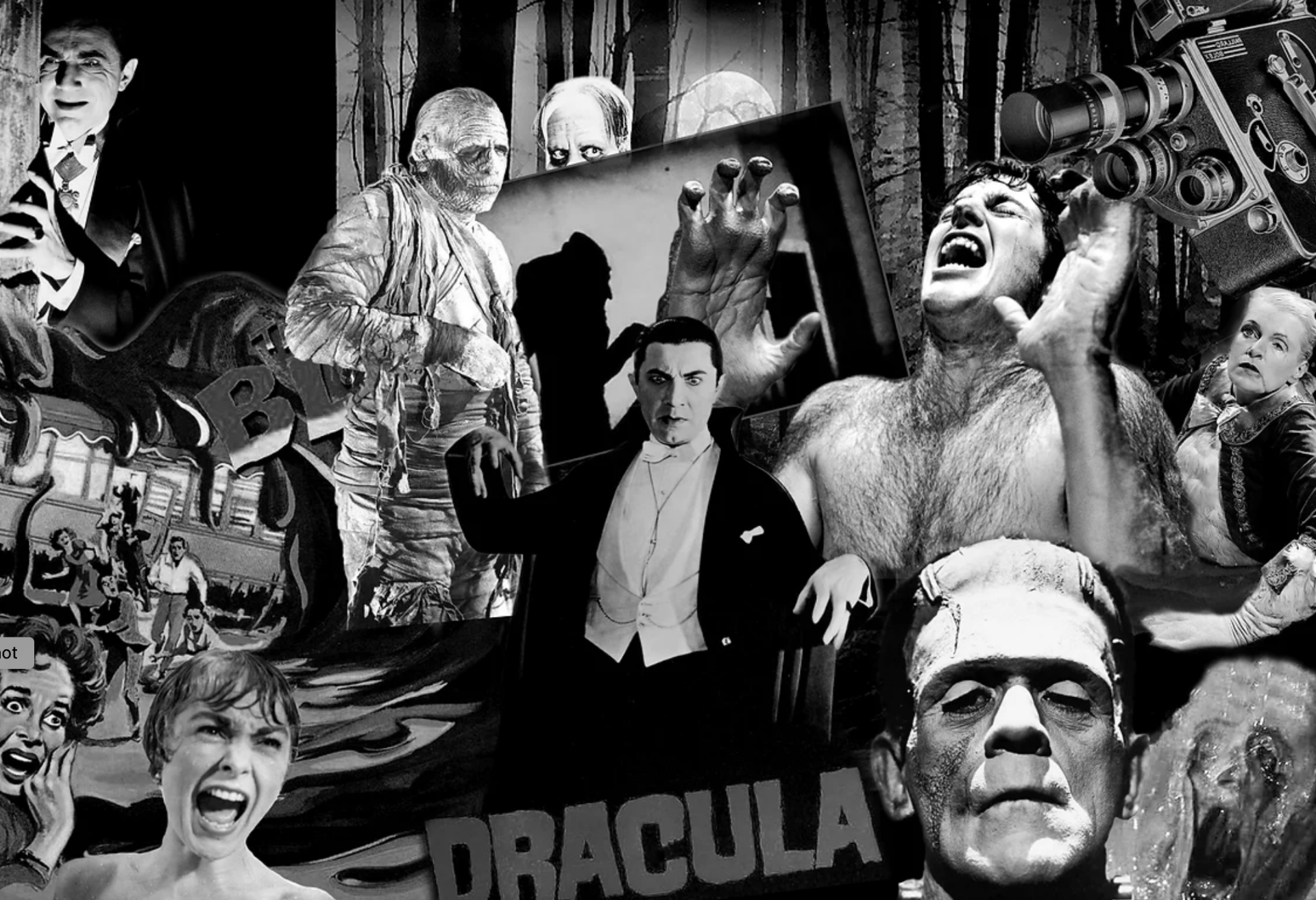 a dense black and white collage of images from Hollywood horror movies