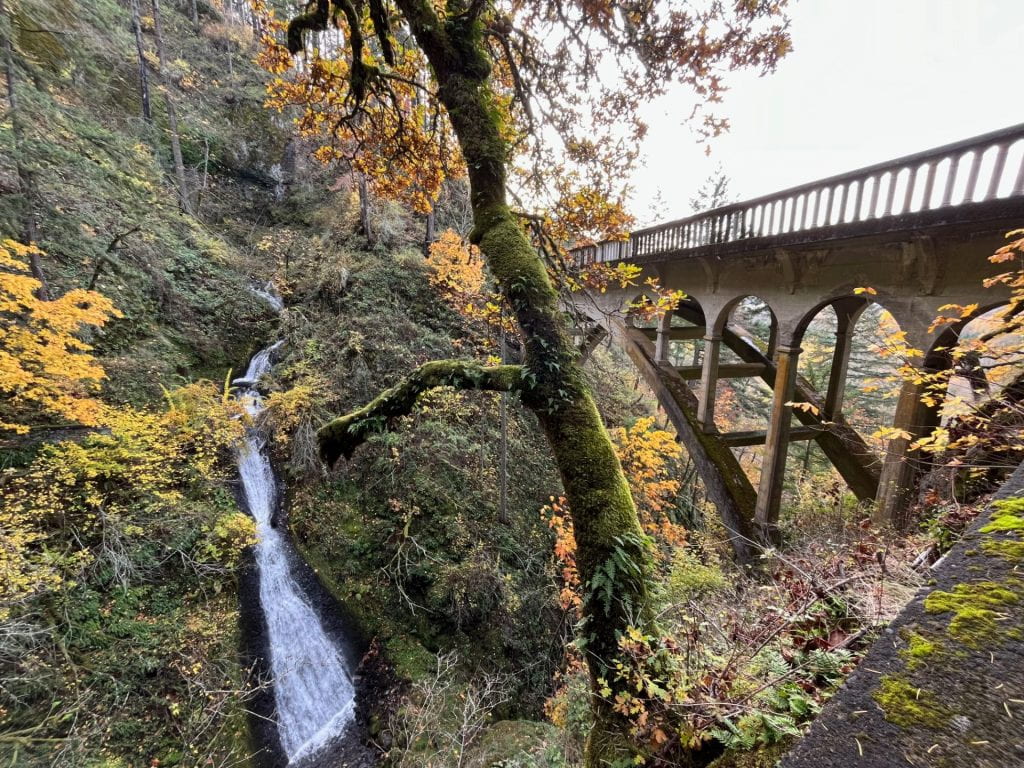 waterfall by a bridge amongst trees in Portland, Oregon