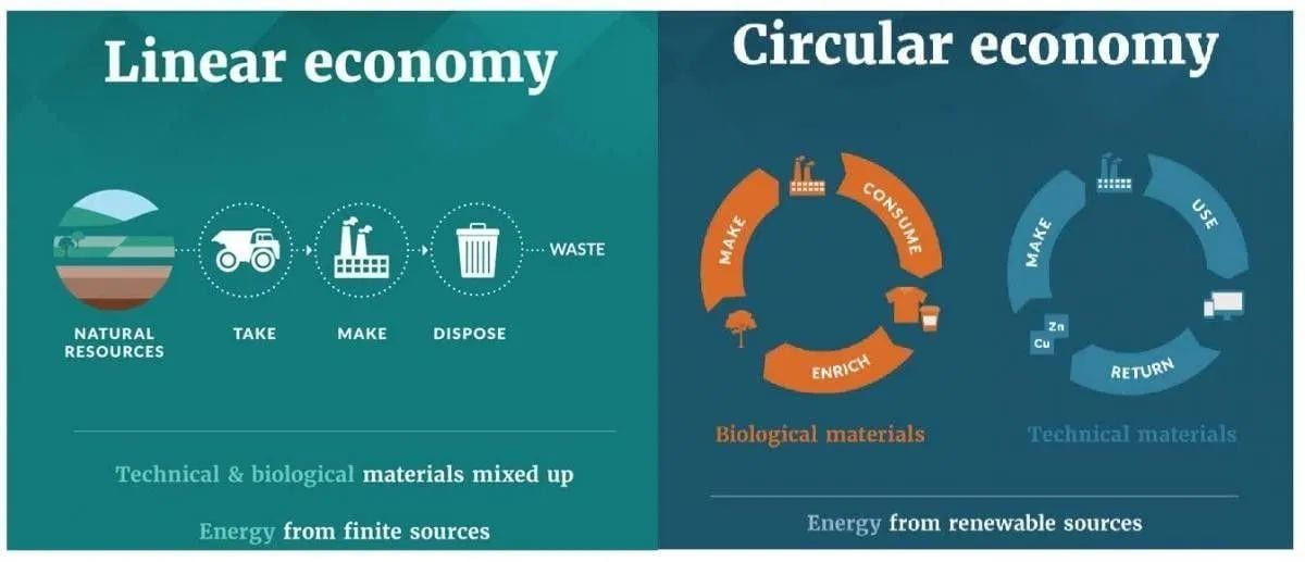 Compares the differences between a Linear Economy and a Circular Economy. A Linear Economy has natural resources being taken, used, and disposed of; materials are unsorted and energy is finite. A Circular Economy recycles or reuses materials post-consumption; energy is from renewable sources.