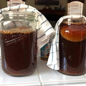 A Comprehensive Guide to Kombucha Brewing and Drinking