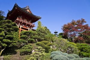The Japanese Tea Garden in Golden Gate Park.