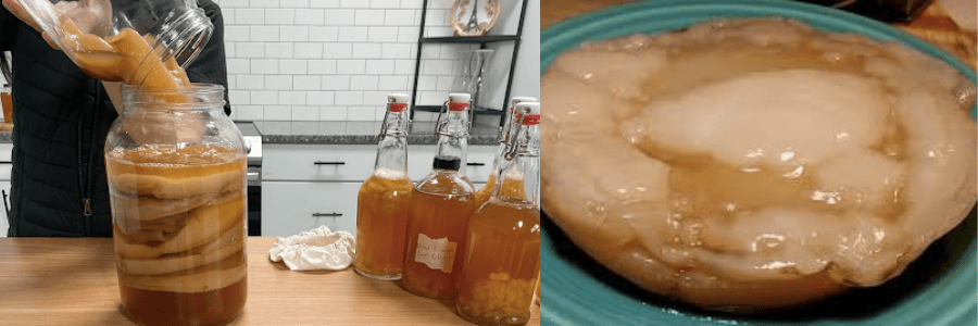 Pouring kombucha into a jar. Yeast and bacteria layer of kombucha floating at the top.