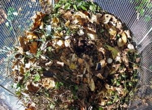 Leaves, dirt, and food scraps in a pile.
