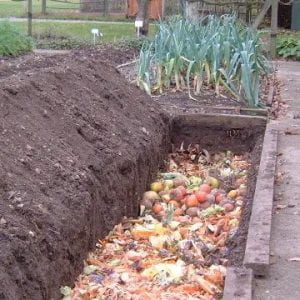 Trench in a garden filled with food scraps.
