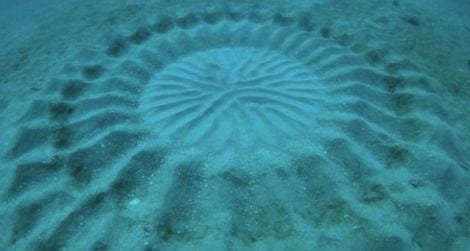Underwater pattern in the sand.