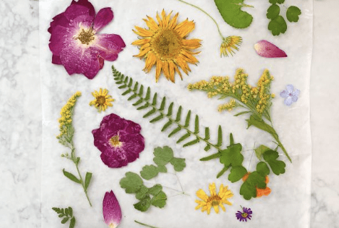 Flowers and leaves on a paper towel.