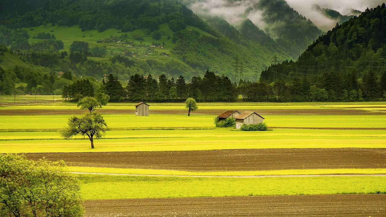 Isolated house behind tilled soil in front of a mountain backdrop.